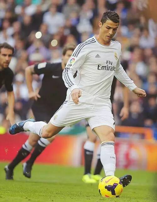 ����ɽ��̩ɽ�ӵִ����� ��ΰ����лл����