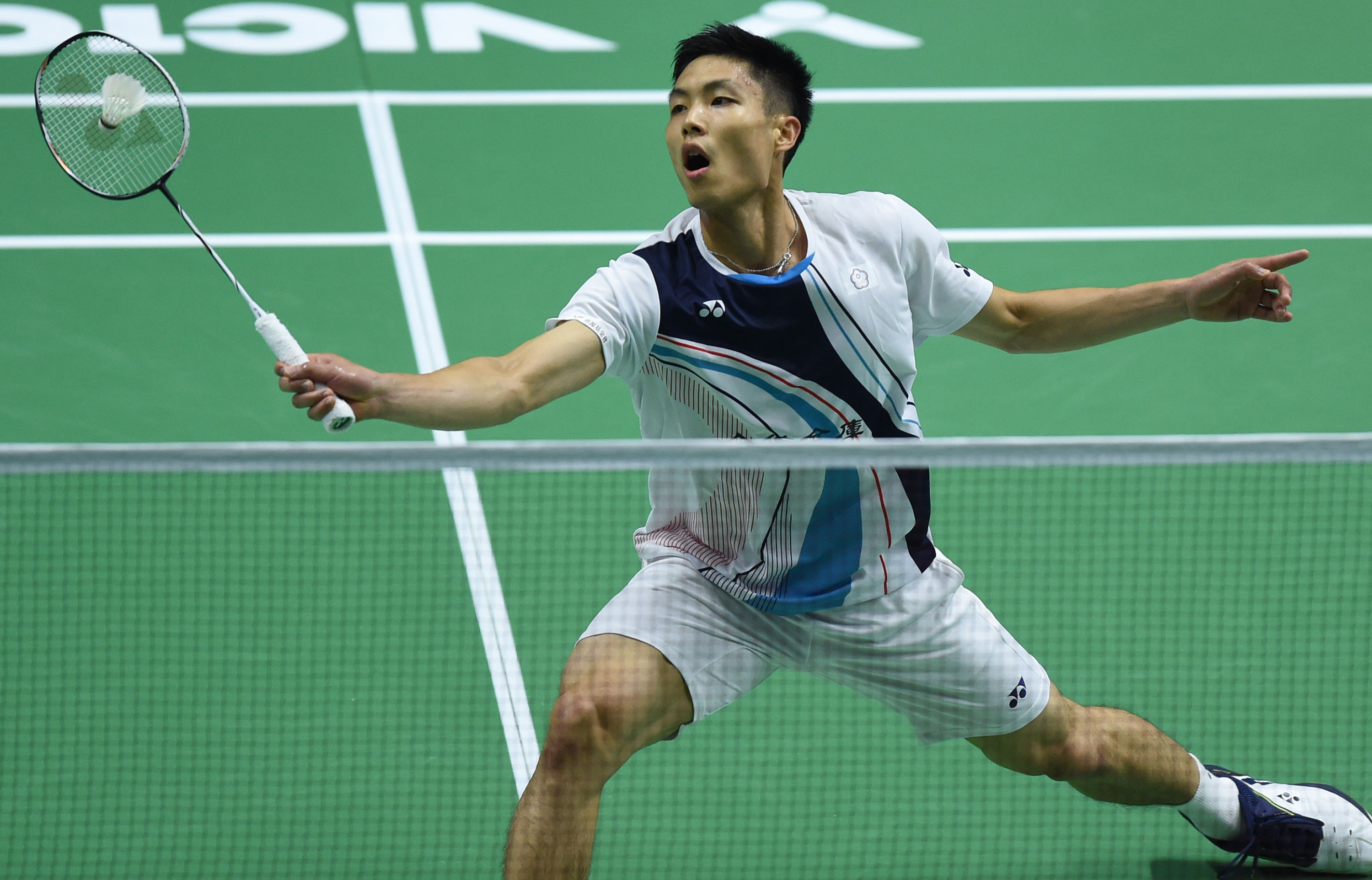 的培育计划 的培育计划