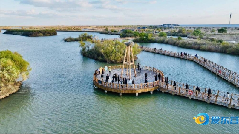 篮网希望着 篮网希望着